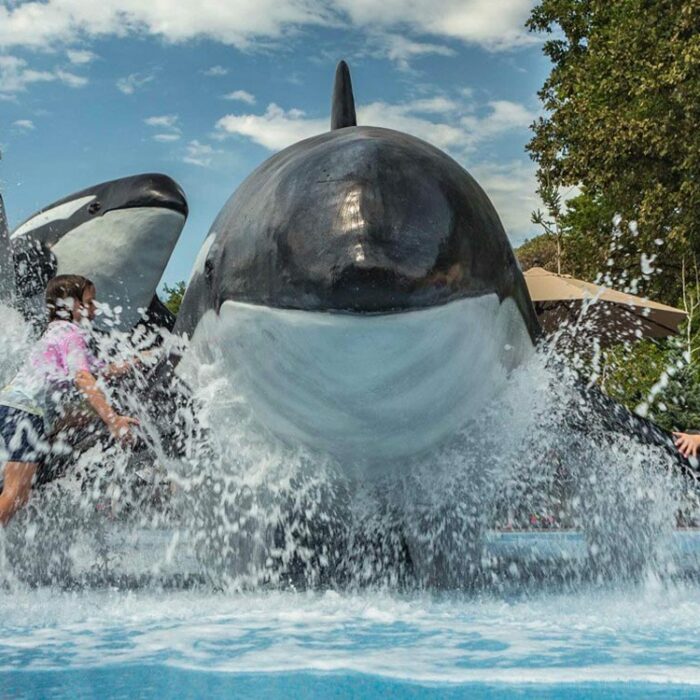 Alaskan Adventure at Henry Doorly Zoo